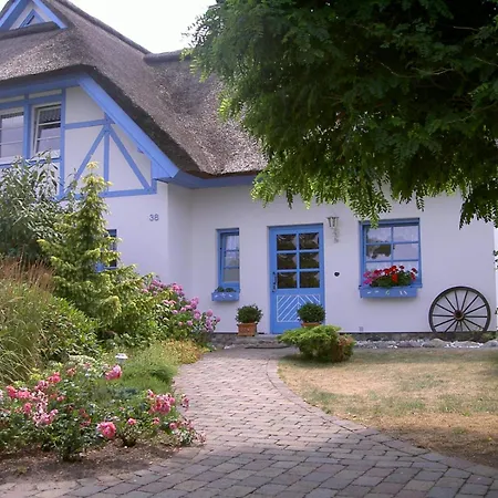 Diekelmann _ Objekt 258 *